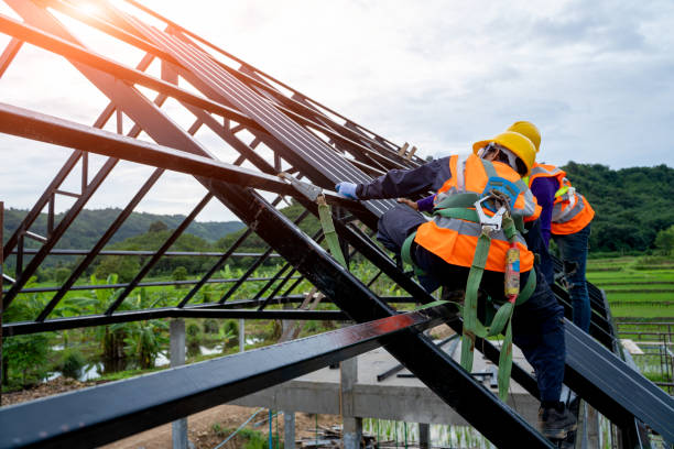 Best Roof Gutter Cleaning  in Rich Hill, MO